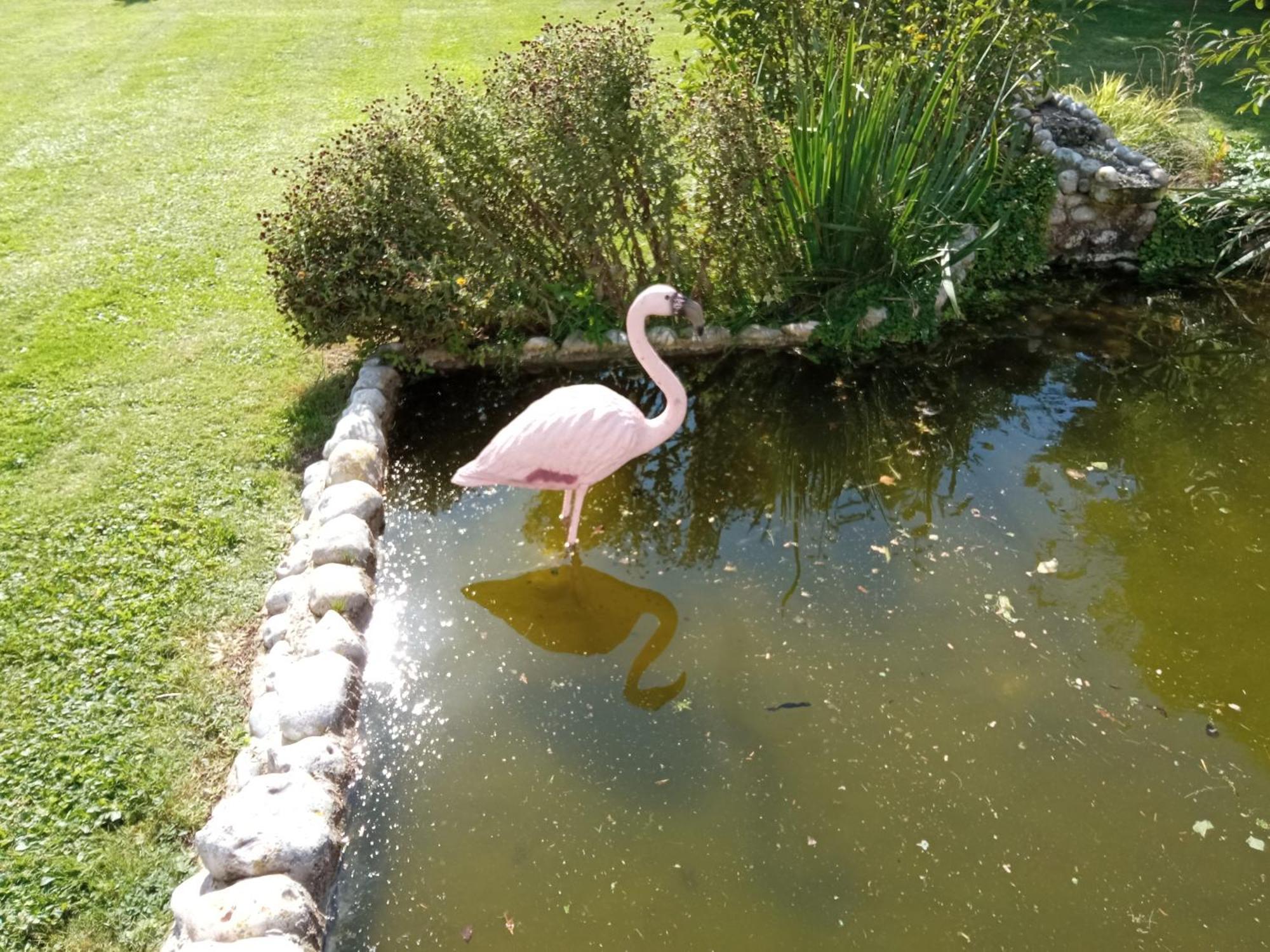 Gite Repos Et Tranquillite P Cayeux-sur-Mer Zewnętrze zdjęcie